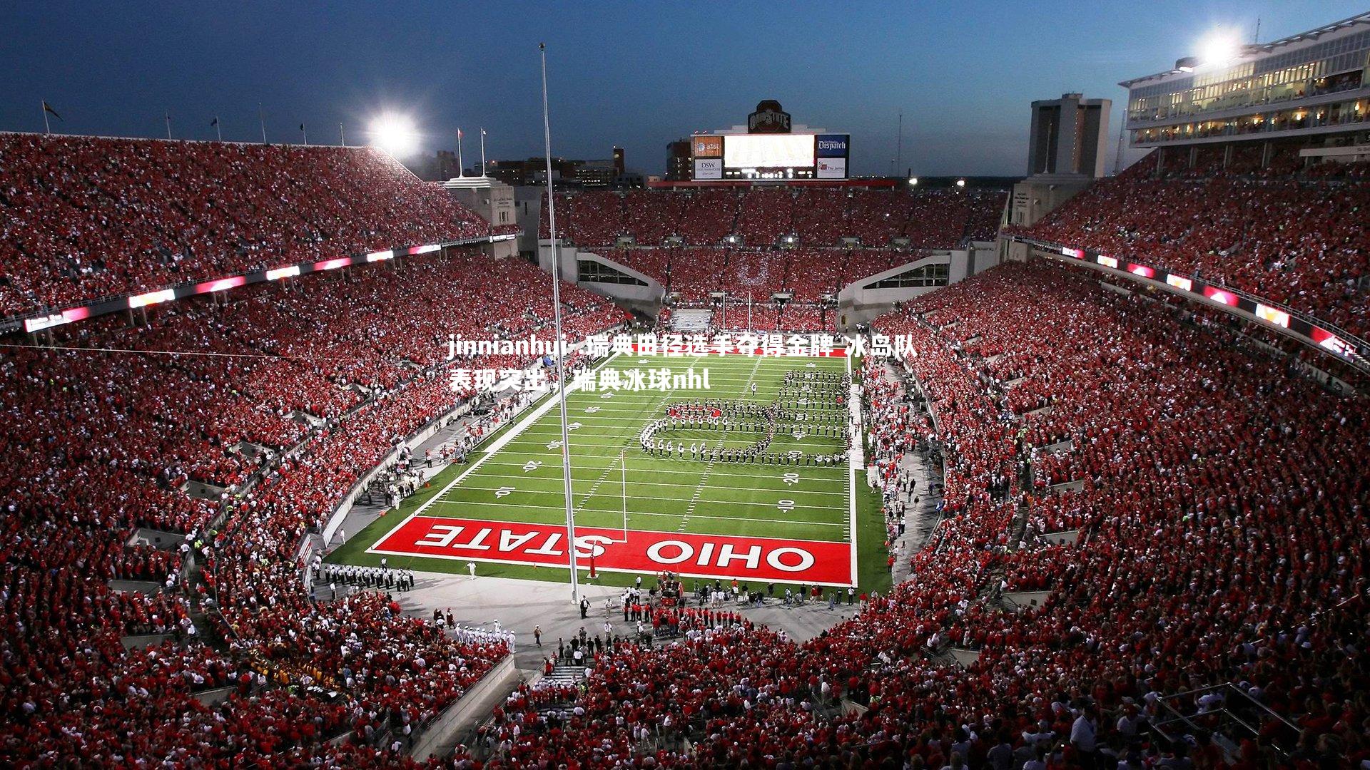 .瑞典田径选手夺得金牌 冰岛队表现突出，瑞典冰球nhl